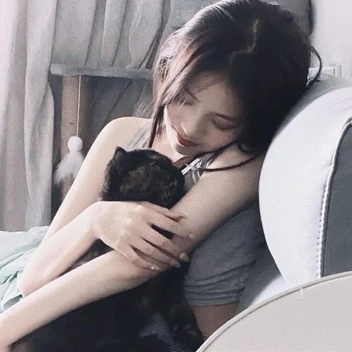 大漠紫禁令 在线观看